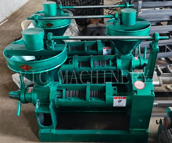 6YL-100 Screw oil press